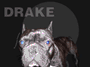 DogDrake